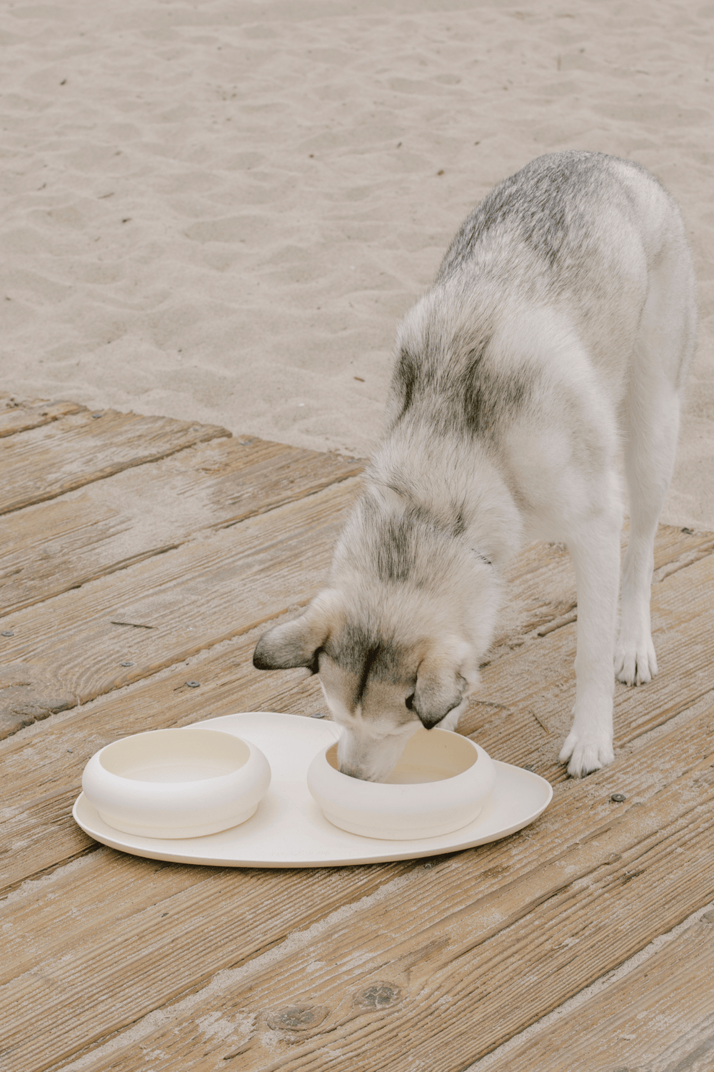 Bubble bowls & mat set - maxbone