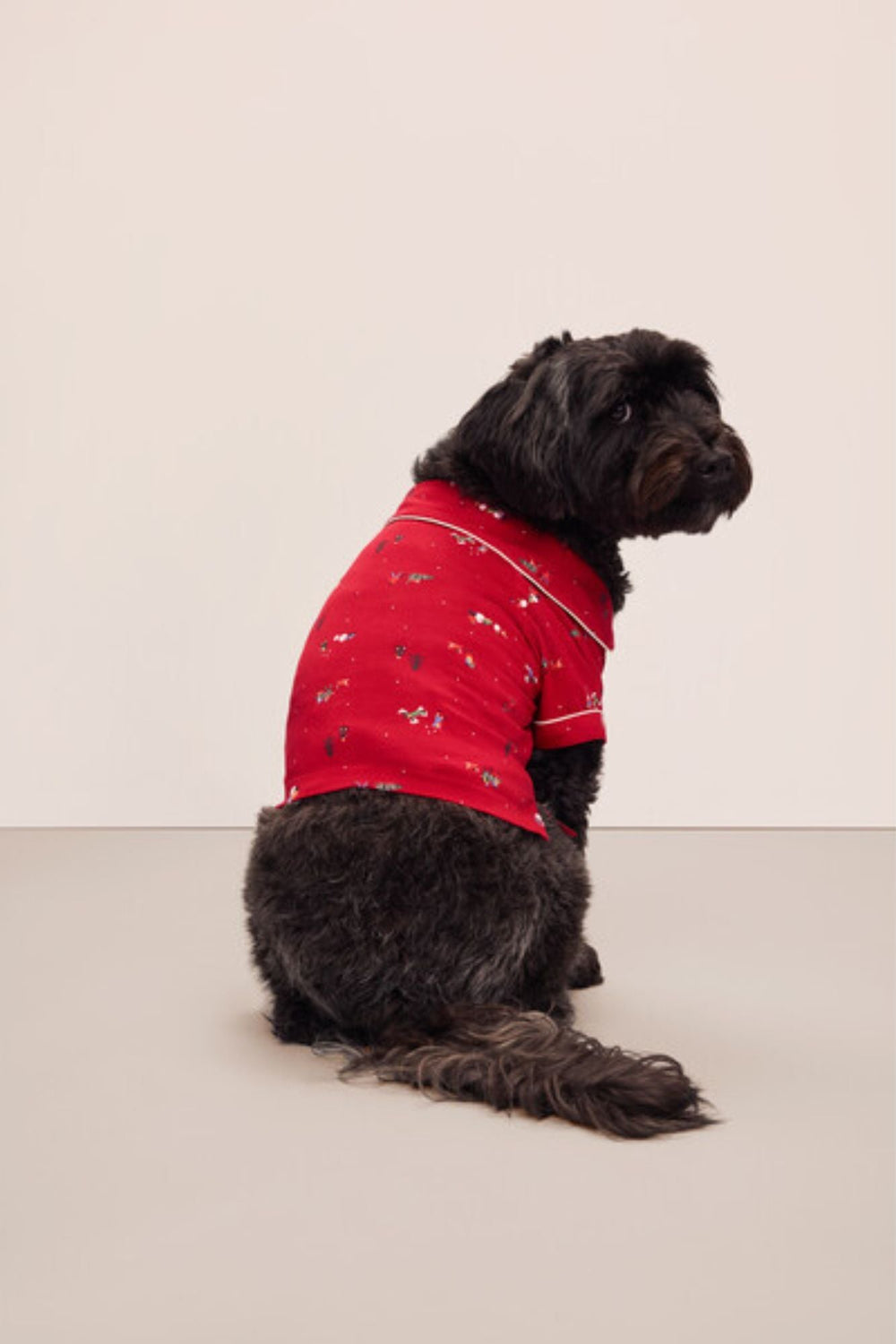 Eberjey x maxbone Holiday Pajamas - maxbone