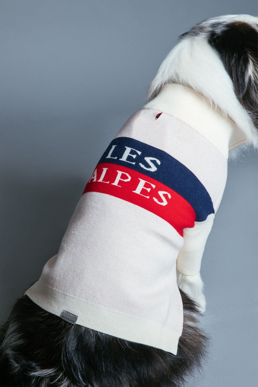 Les Alpes Jumper - maxbone