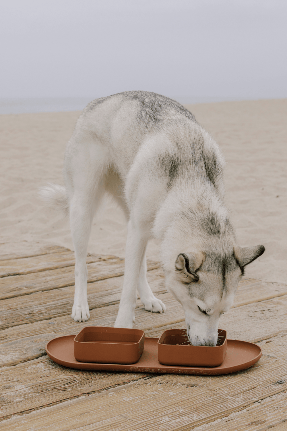 Square Bowl - maxbone