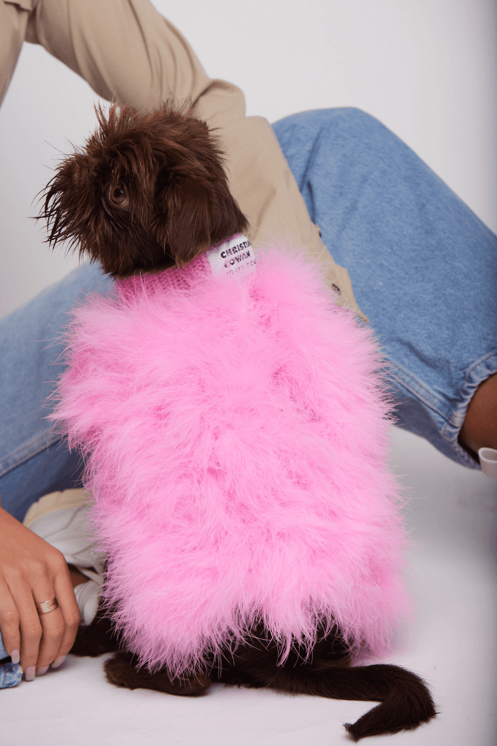 Purchase Wholesale designer dog clothes. Free Returns & Net 60 Terms on  Faire