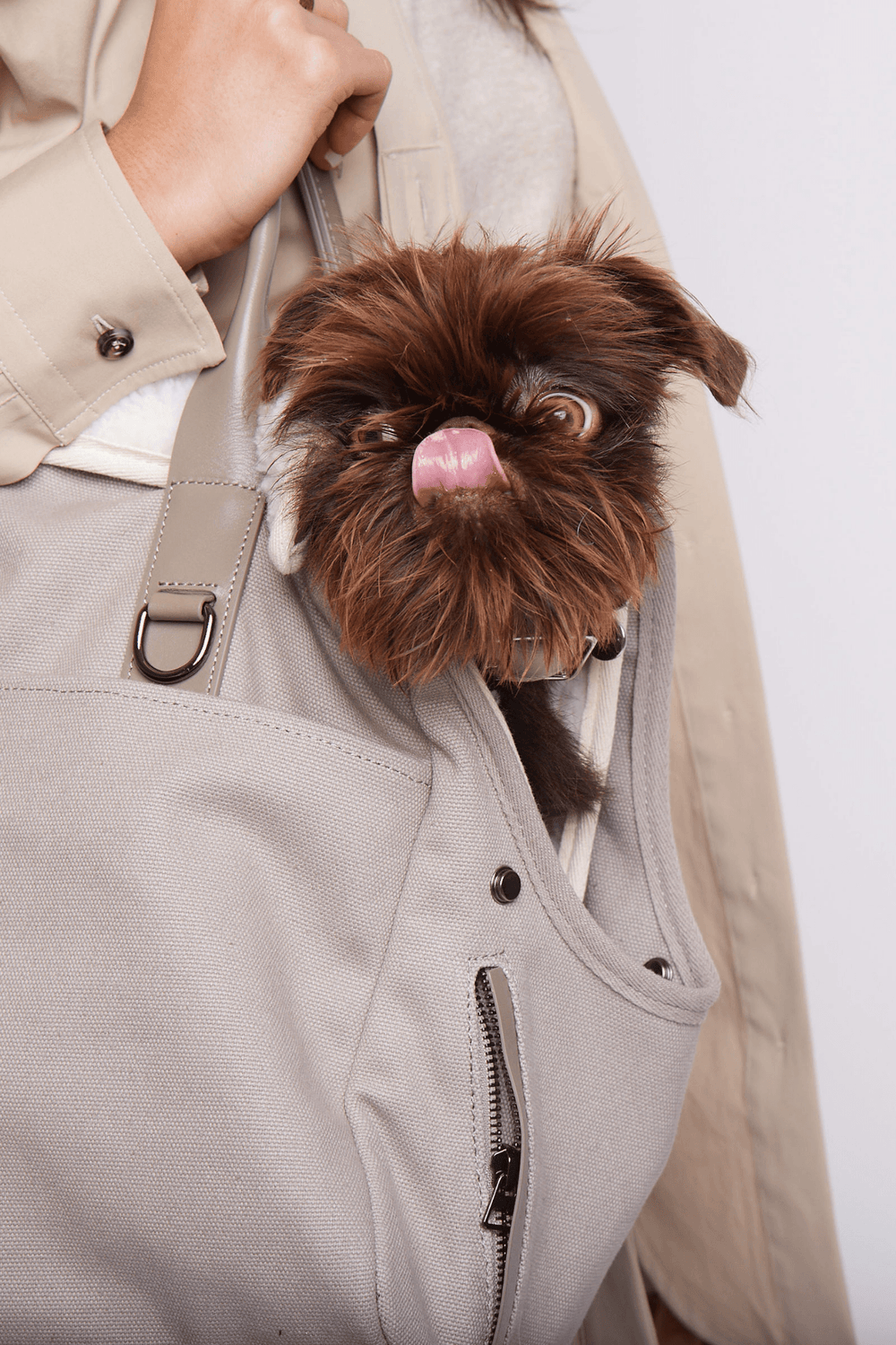 GUCCI Beige Dog Travel Bag - Dog Insider