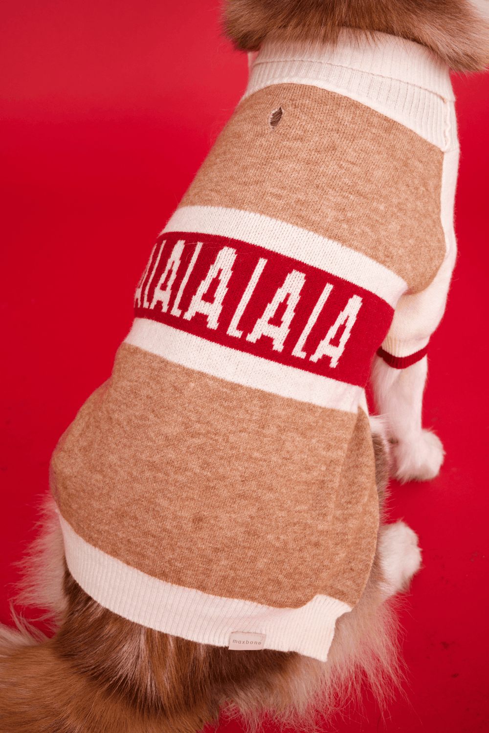 Fa La La La La Raglan Jumper - maxbone