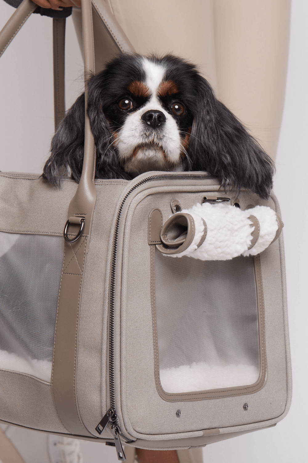 Chewy Vuitton Bag - Dog Toy - 2 Sizes