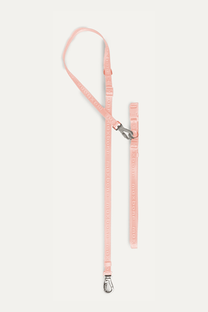 Leashes, Harnesses & Collars – maxbone